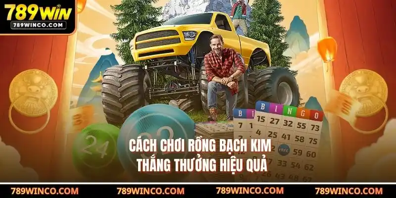 Cách Chơi Rồng Bạch Kim Thắng Thưởng Hiệu Quả