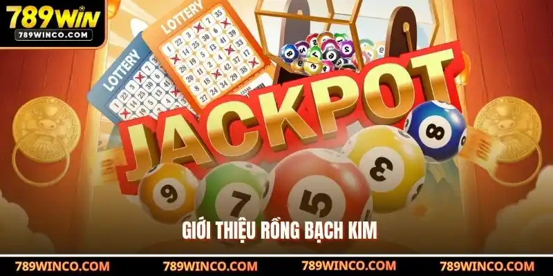 Giới Thiệu Rồng Bạch Kim